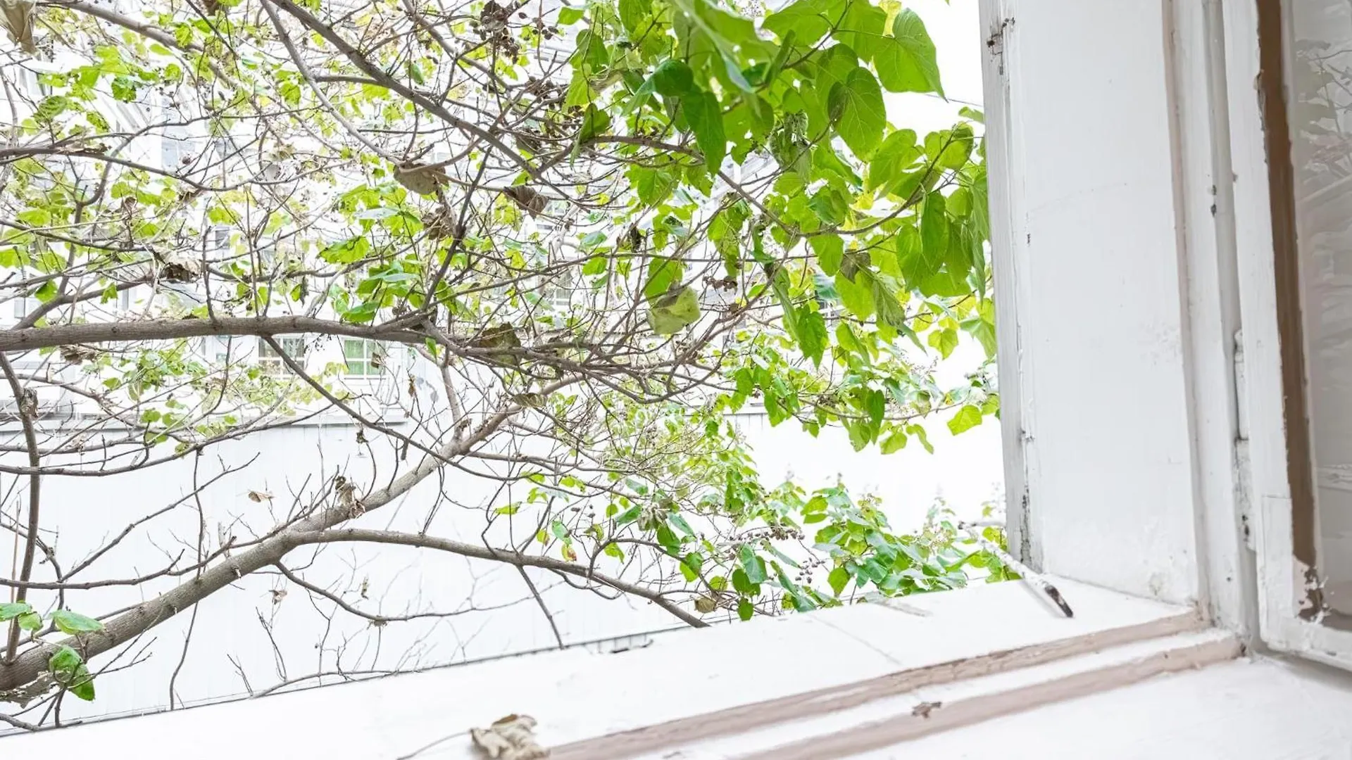 公寓 Big 3Br Apt In Viennas Center - Perfect For Longstays